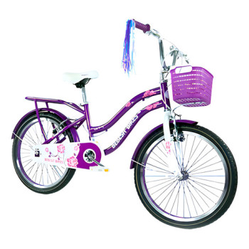 Bicicleta Para Niña Bebesit Queen Rodado 20 Violeta